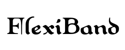 FlexiBand - logo
